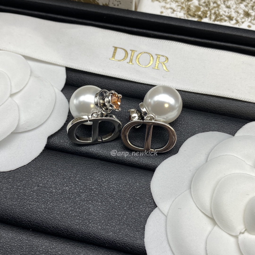 Dior Earrings (17) - www.newkick.vip
